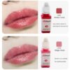 Nano PMU Lip Blush Tattoo Permanent Makeup Pigment 10ml